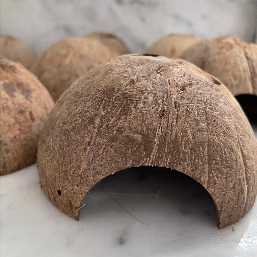 Coconut hut for small pets, reptiles, geckos, lizards, frog, fish, mice, etc